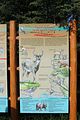 184 - Maligne Canyon, Medicine Lake, Maligne Lake - IMG_1097